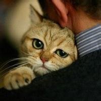 男生和猫头像_360图片