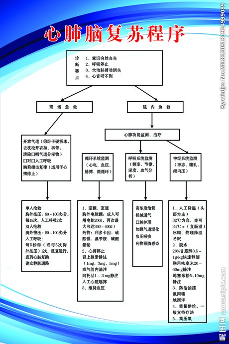 儿童心肺复苏流程图_360图片