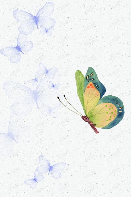 梦幻蝴蝶