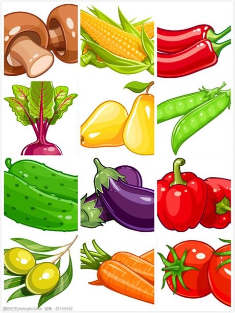 蔬菜图片大全 各种蔬菜图片大全大图 垂直画幅,素食,绘画插图, 卡通