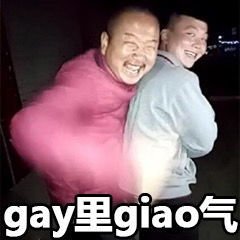 一给我里giaogiao表情包 一giao我里giaogiao 啊giao giao gif 快手敏