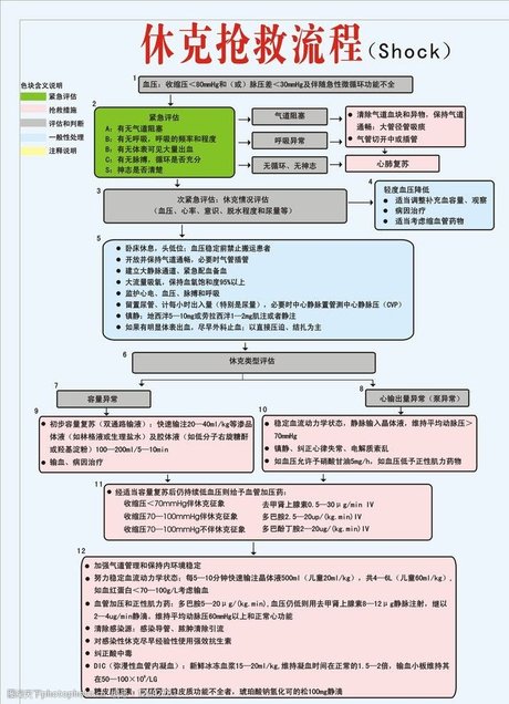 相关搜索 抢救流程图 过敏性休克抢救流程图ppt 医院穿脱隔离衣流程