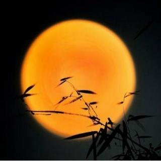 举头望明月 月有阴晴圆缺 白玉盘 诗中的月亮 海上生明月