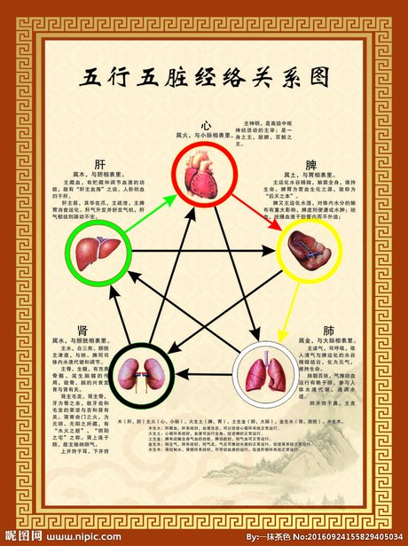 五脏表 无限极产品搭配表-图行天下图库 相关搜索 五脏对应五行 五行