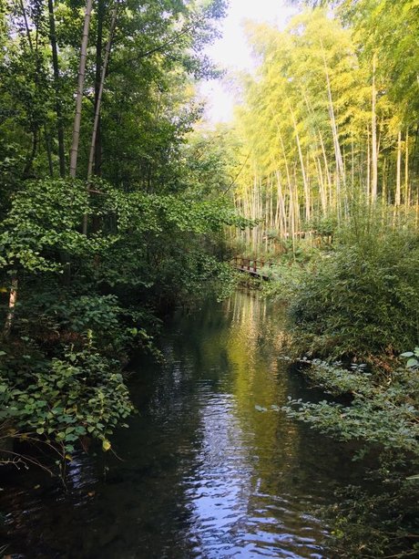 江苏溧阳南山竹海景区风光 相关搜索 天目湖御水温泉 南山竹海旅游