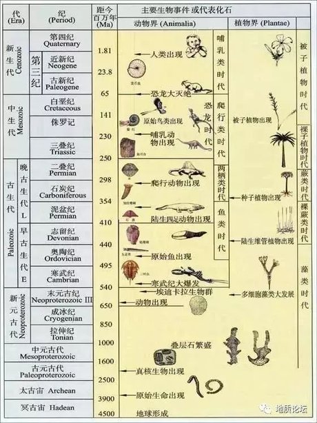 地质年代表1