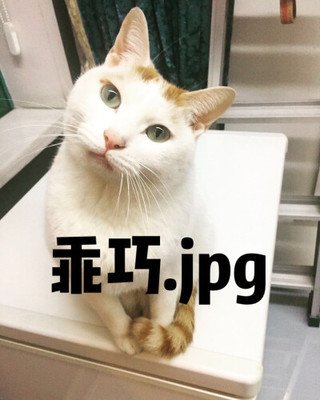 捏肚子