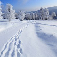 微信头像梅花 雪景姓薛_微信头像     大全