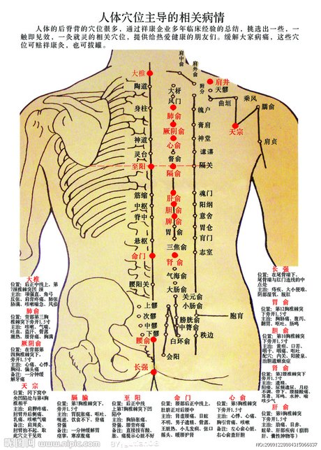 人体穴位图源文件__其他_psd分层素材_源文件库_昵图网nipic.com