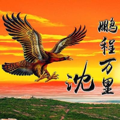 雄鹰展翅