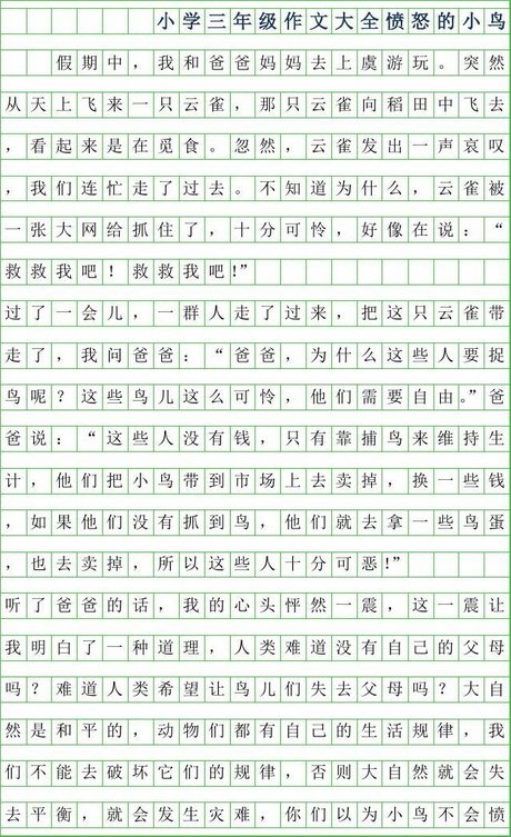 2019年小学三年级作文大全300字-愤怒的小鸟