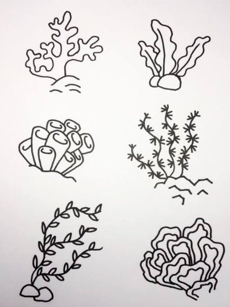 珊瑚简笔画图片