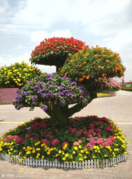 花坛摄影图__花草_生物世界_摄影图库_昵图网nipic.com