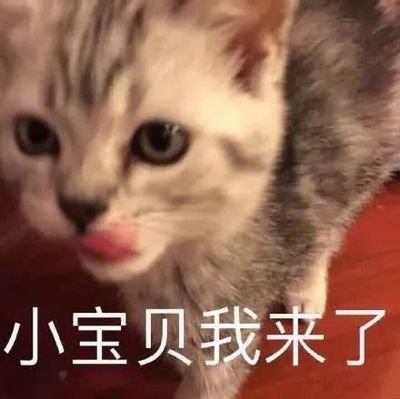 我的 悲伤大概有这么大!可爱 猫咪的 表情包