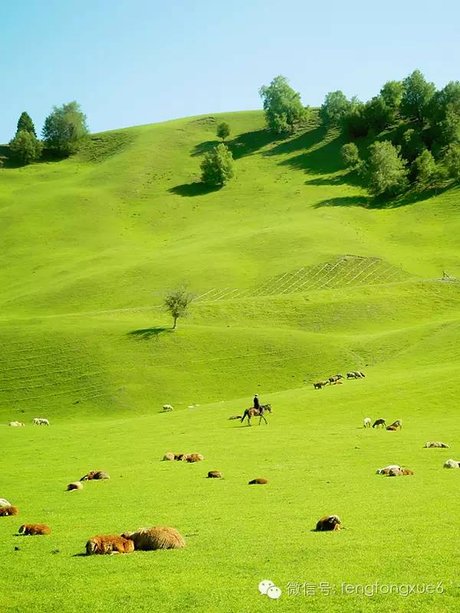 新疆空中草原那拉提,假装在瑞士-搜狐旅游