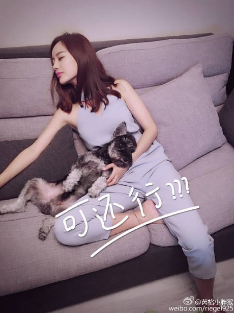 芮格小胖猴的微博_微博