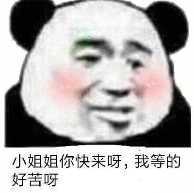 熊猫头关于小 姐姐表情包 合集|我最牵挂的还是
