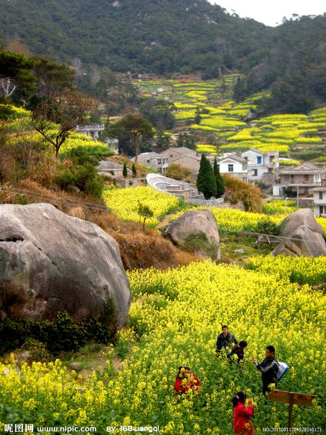 田园风光,乡村生活,乡村风光,乡村的 观,光,草地,早晨,神秘的,自然