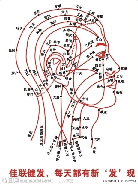 gif 穴位动态图:胆经头部穴位 相关搜索 头部穴位图解大全 头部穴位