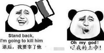 费伦一条小银龙_360图片