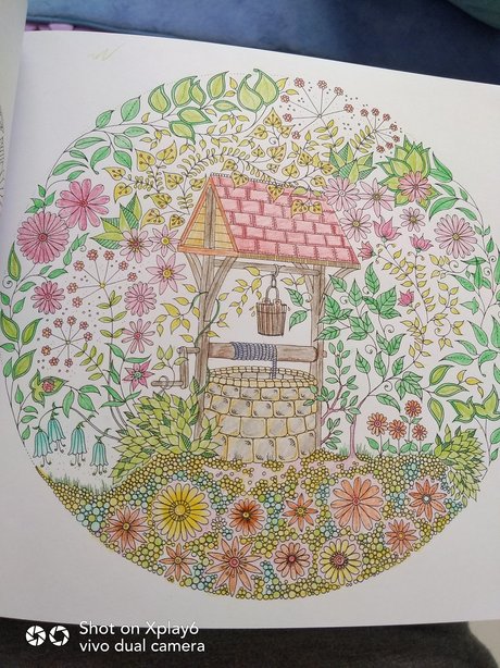手绘花盆图片 单只玫瑰花水彩画 《 秘密花园》优秀 涂色作品交流探讨