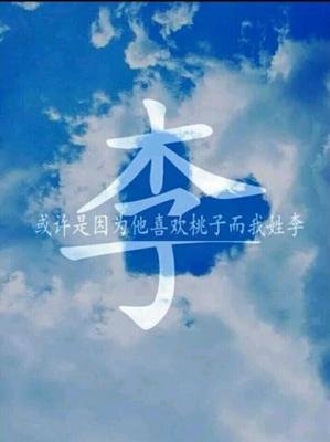 我姓李