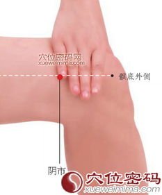 阳陵泉的准确位置图 斗图表情包大全   与  阳陵