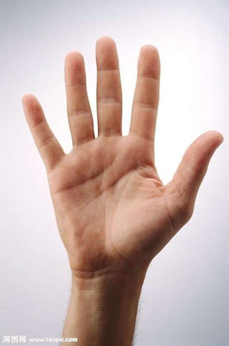 手指名称示意图 食指是哪个手指 手指的名字 手指各个部位的名称 手指