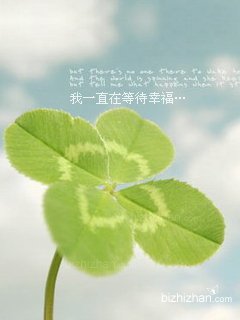 四叶草手机壁纸图片