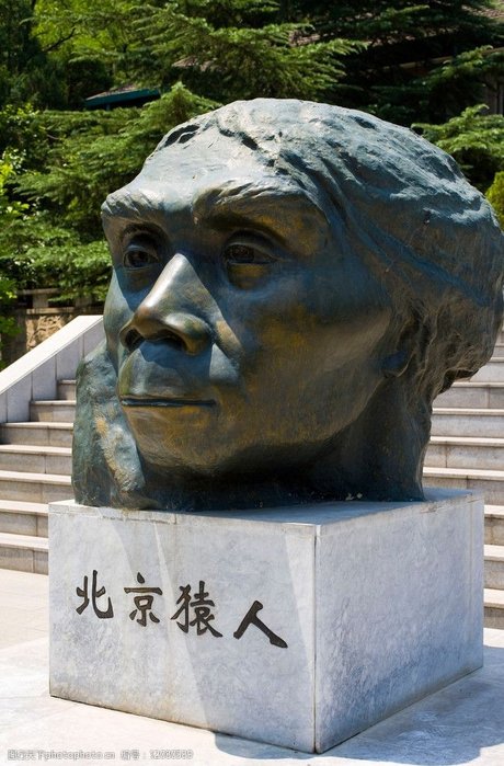猿人图片
