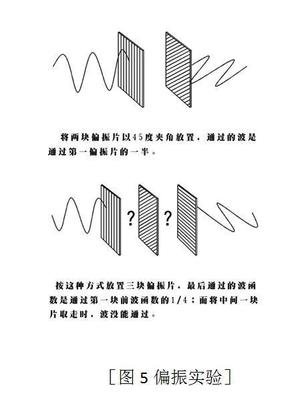 检偏镜 360图片