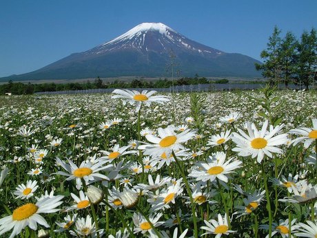 富士山图片 360图片