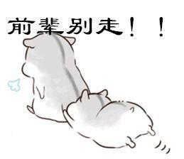 别走图片表情包-千图网