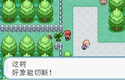 口袋妖怪叶绿 360图片