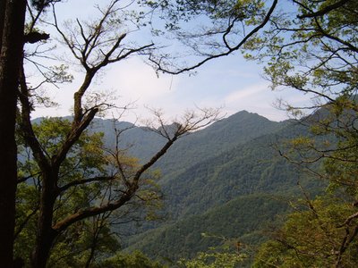 陕西青木川国家级自然保护区 360图片
