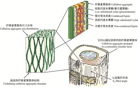 360图片