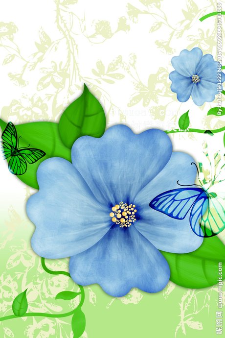 白底蓝花背景图片 360图片