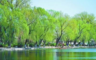 七律·快意早春 // 王建群（山东济南）（图2）