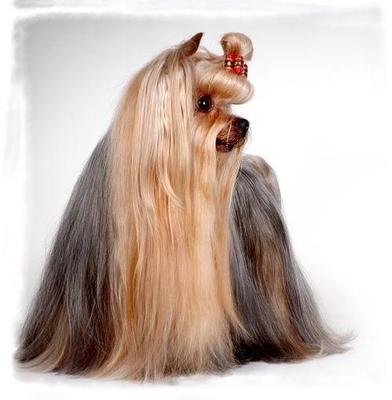 图片[2]-热点讨论“天天爱海南麻将有挂吗怎么开挂”（确实能开挂）-首码网-网上创业赚钱首码项目发布推广平台