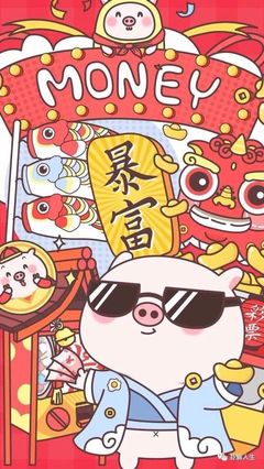 生肖猪幸运数字