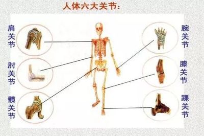 肩关节炎怎么治疗