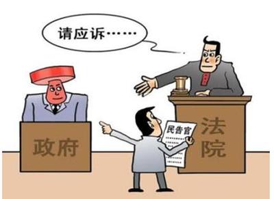 政府是法人吗