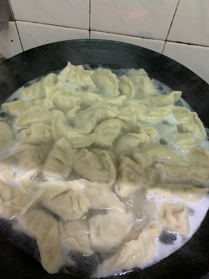 羊肉饺子