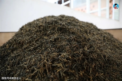 茶叶发酵程度