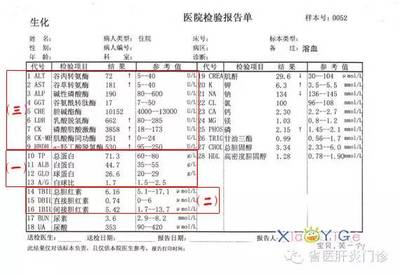 谷氨酰氨基转移酶高是怎么回事
