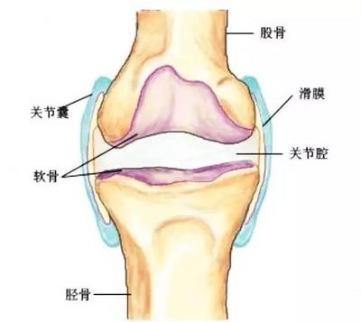 膝关节滑囊炎怎么治疗