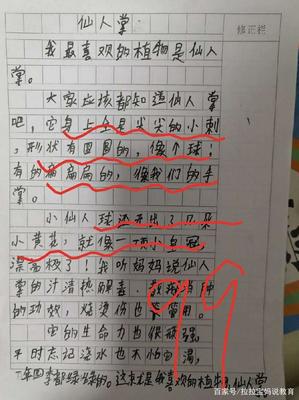 仙人掌150字小学三年级作文怎么写