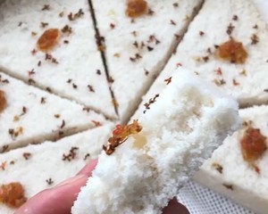 桂圆糕的制作方法