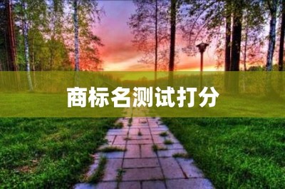 商标测名打分