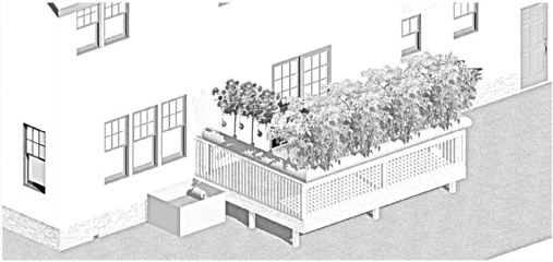 农业简笔画大全植物怎么画